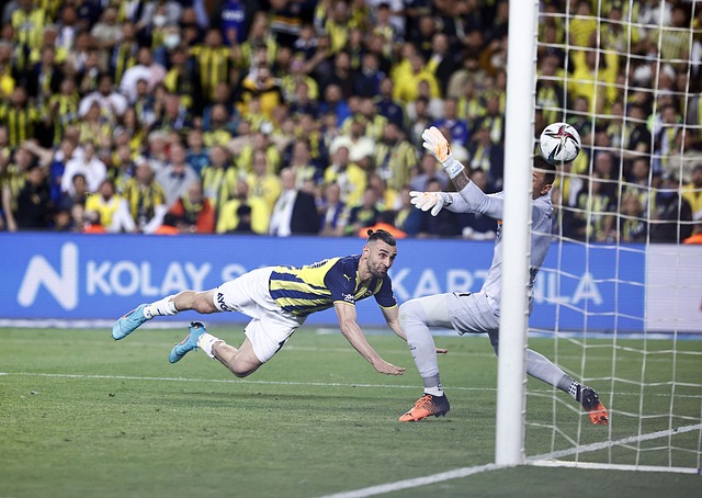 成为考察球 成为考察球