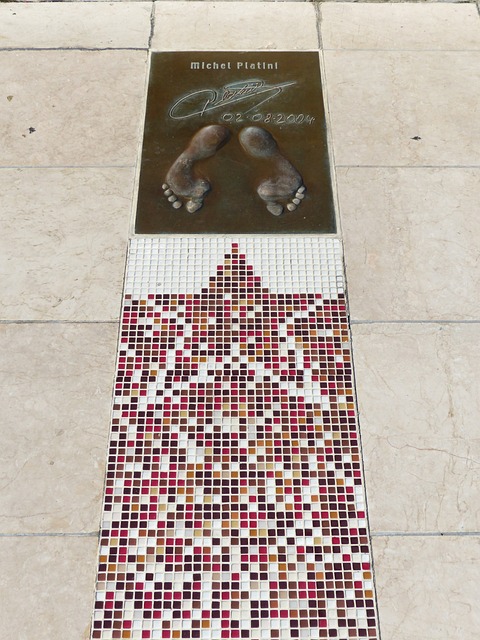 中找到属于 中找到属于