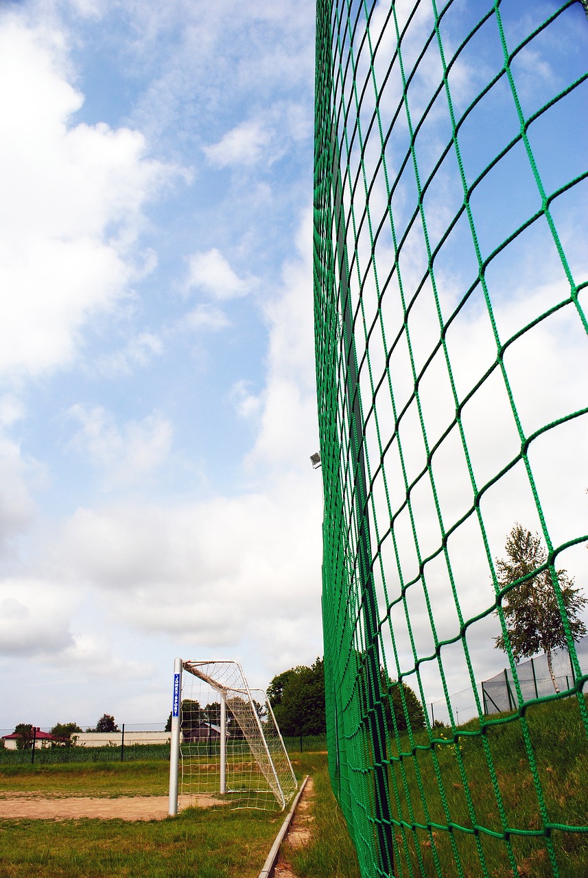 强以及文旅 强以及文旅