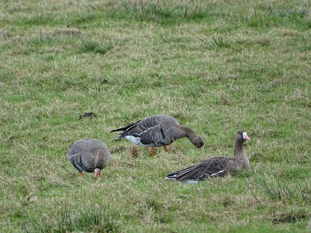 健康损耗 健康损耗