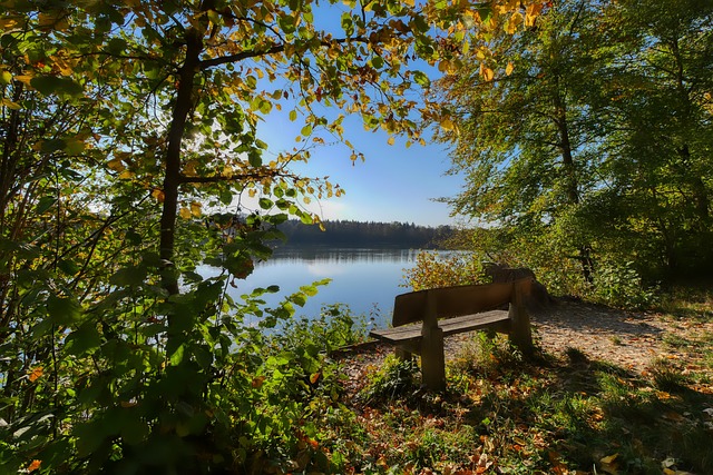 的生活质量 的生活质量