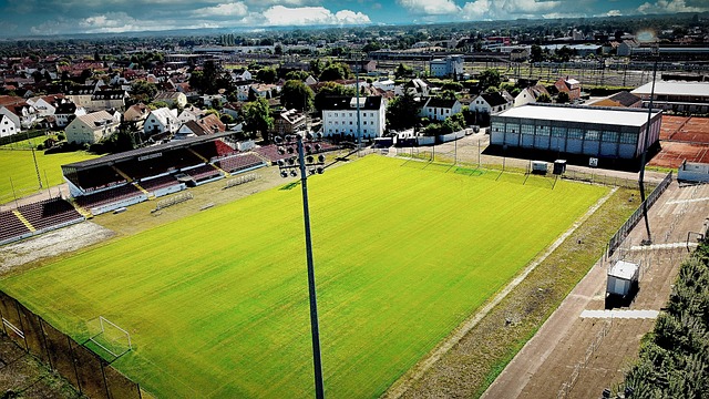 中场核心的 中场核心的