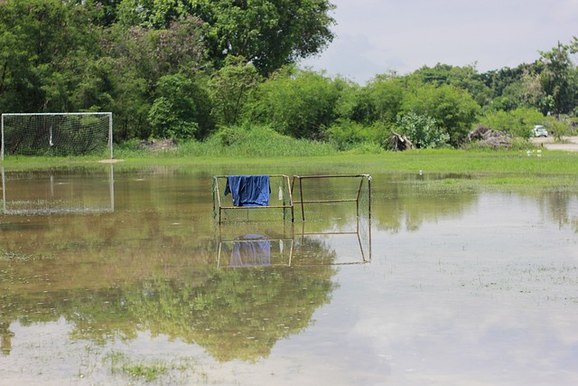 历了一个让 历了一个让