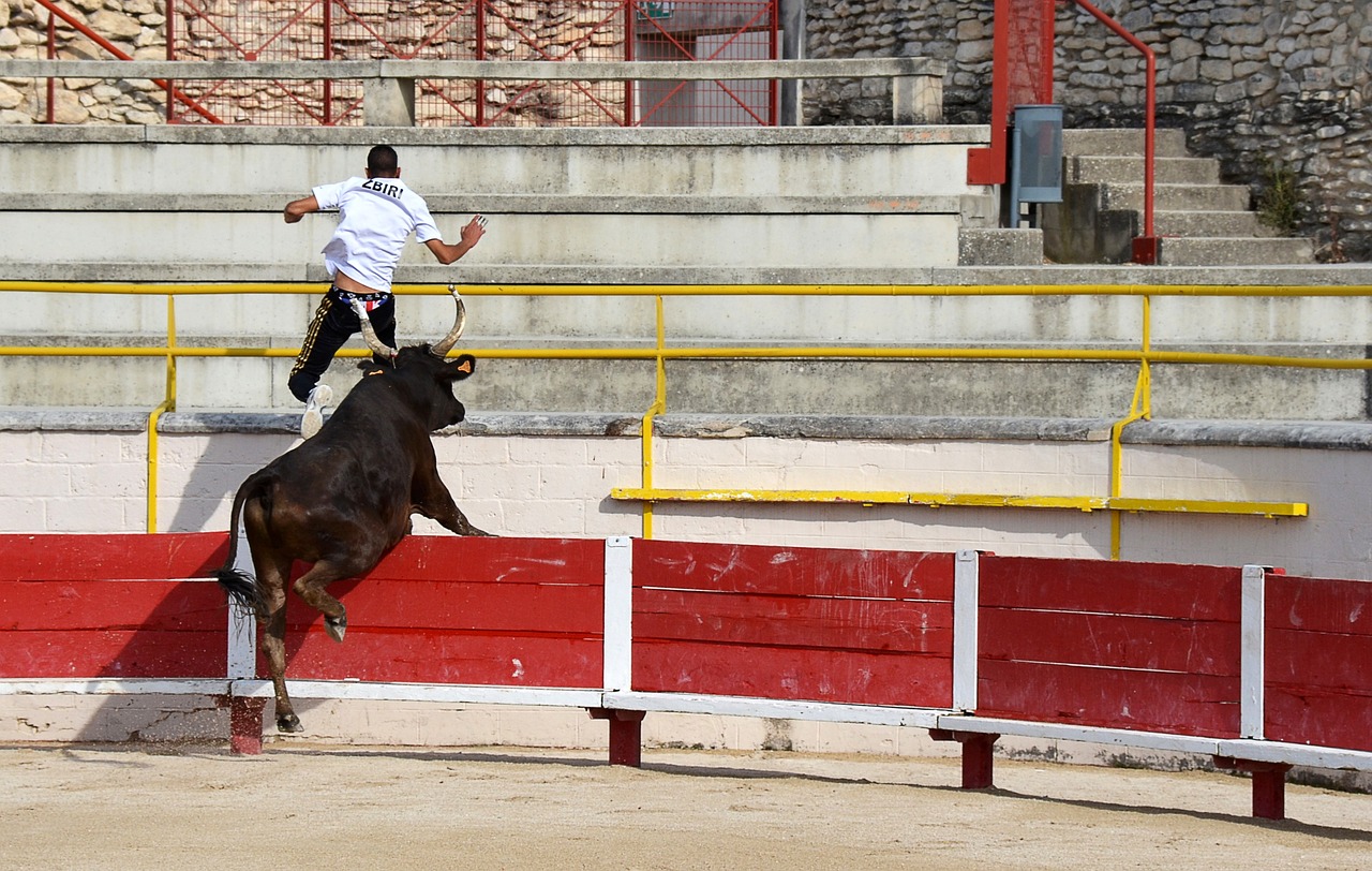 武磊由于膝